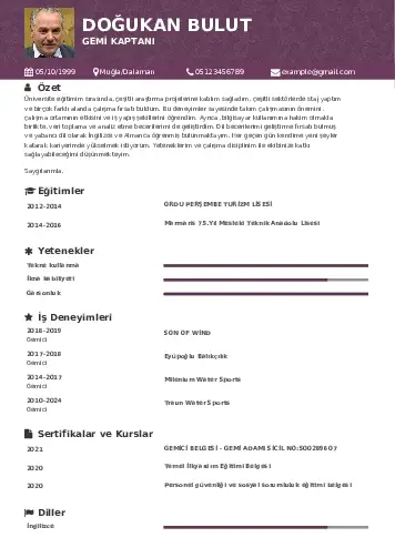 Gemi Kaptanı CV Örnekleri cv indir